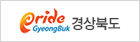 경상북도청